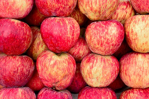 Indian Apple Poisoning in Dogs - Symptoms, Causes, Diagnosis, Treatment, Recovery, Management, Cost