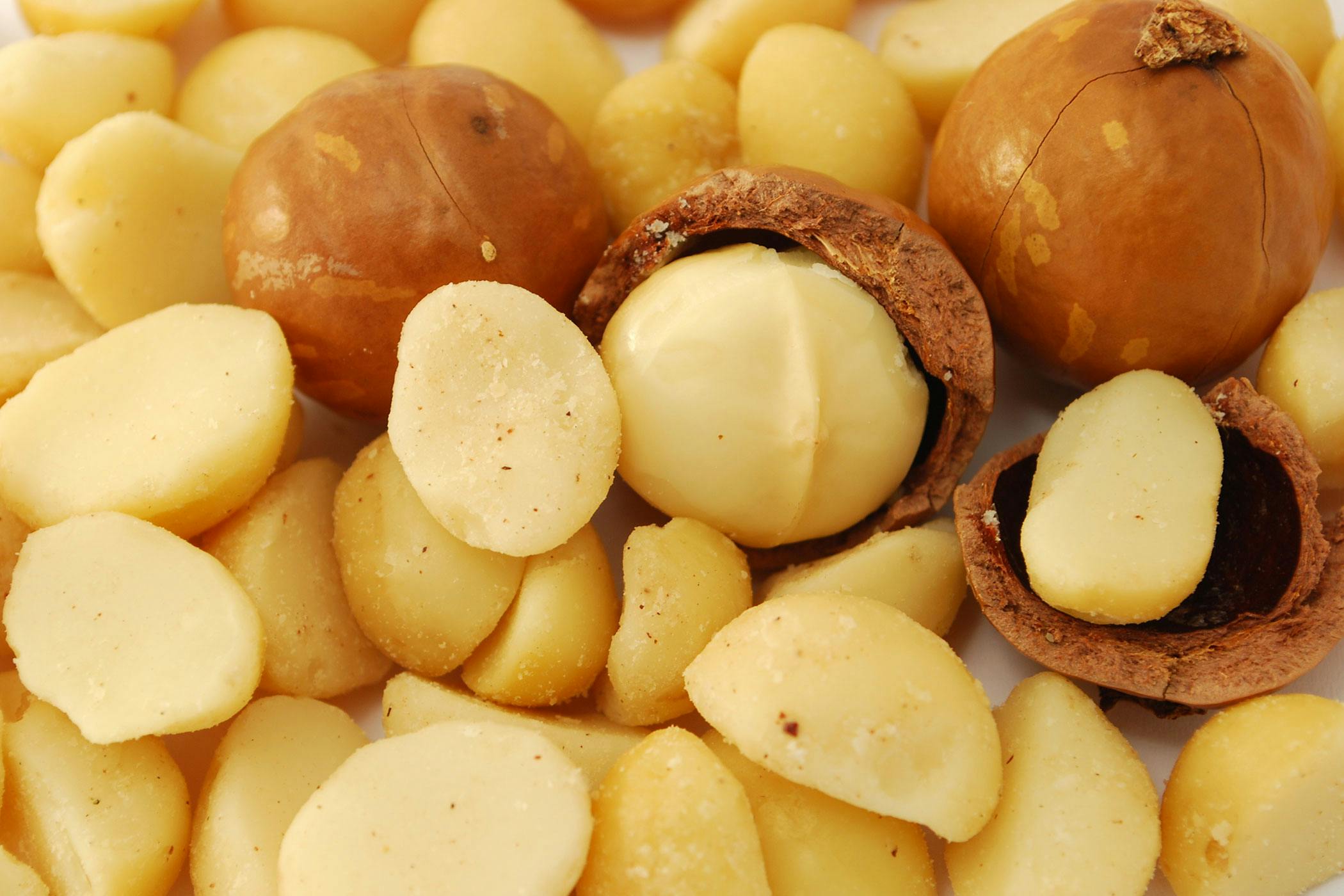 Macadamia Nuts Poisoning