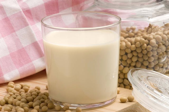 Soy Allergies in Dogs - Symptoms, Causes, Diagnosis, Treatment, Recovery, Management, Cost