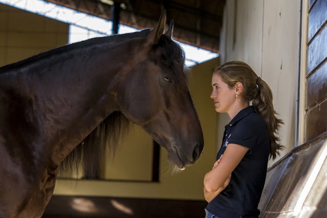 Atrial Fibrillation in Horses - Symptoms, Causes, Diagnosis, Treatment, Recovery, Management, Cost