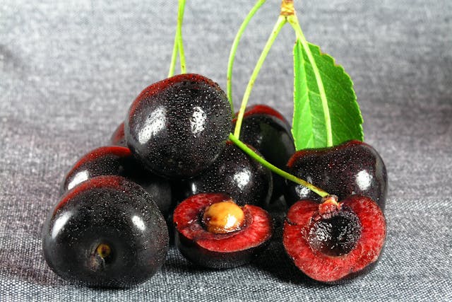 Black Cherry Poisoning in Horses - Symptoms, Causes, Diagnosis, Treatment, Recovery, Management, Cost