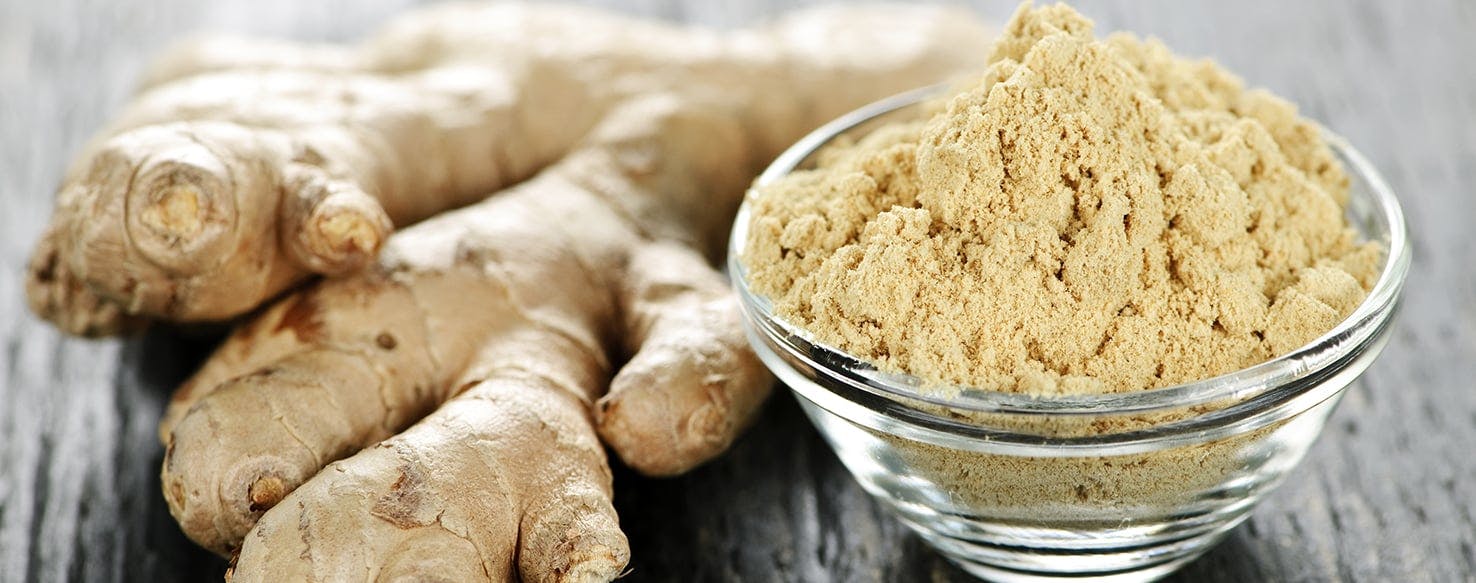 4-big-reasons-why-ginger-is-an-essential-herb-for-your-aging-dog