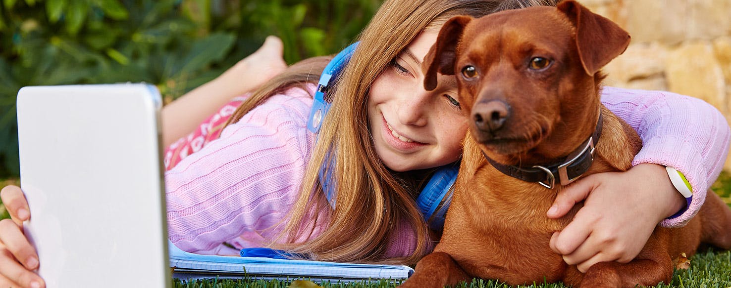 6 Easy Ways to Give Your Dog More Mental Stimulation