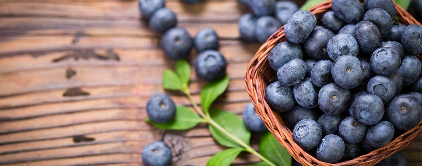 are fresh blueberries bad for dogs