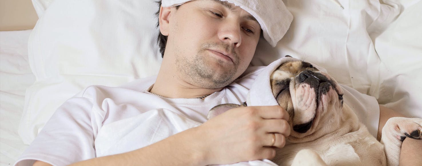 can dogs get colds like humans