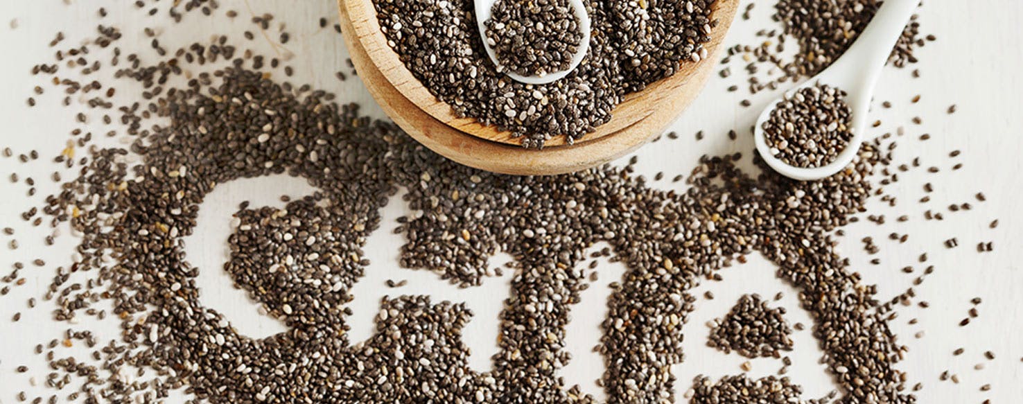 are chia seeds good for dogs