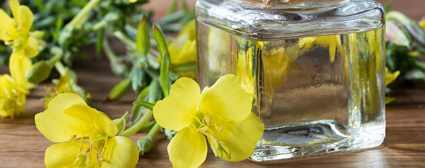 Evening Primrose Oil For Dogs