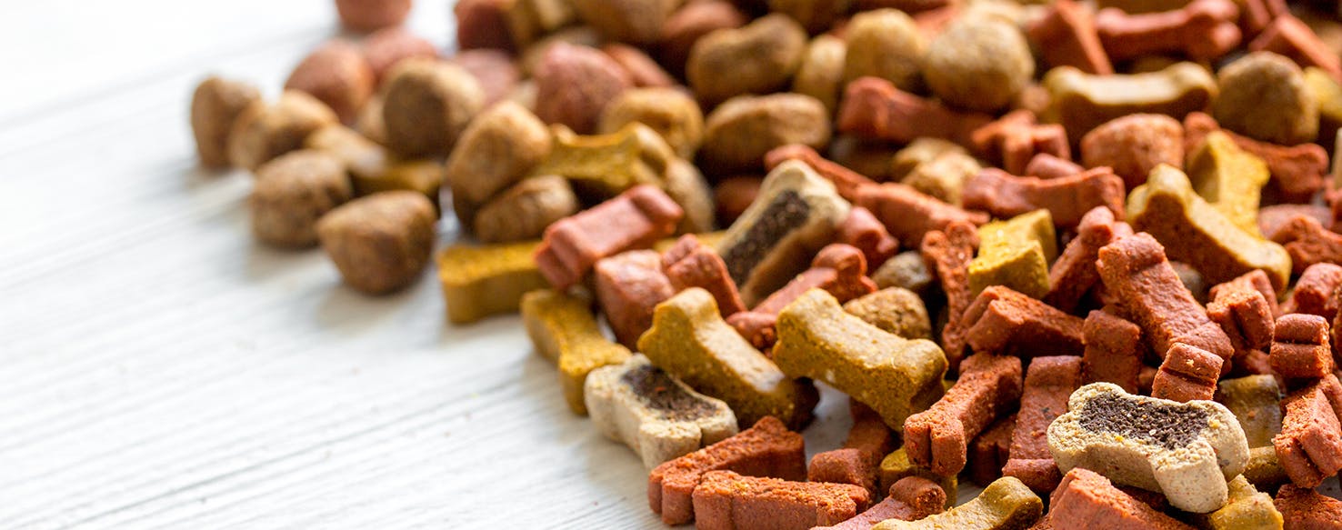 Fatty Acids for Dogs