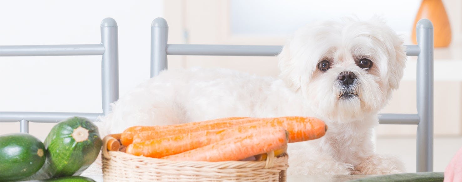 Feeding Your Dog Natural Foods Without Grains or Preservatives