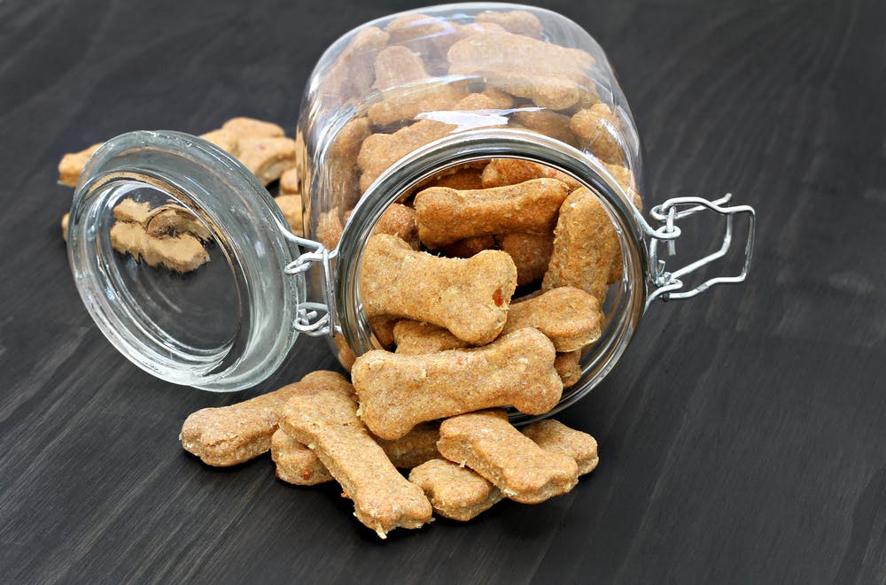 The Ultimutt Guide to Zero Waste Dog Food and Water Bowls