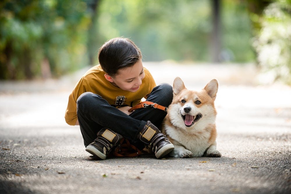 How To Check Dogs Anal Sacks