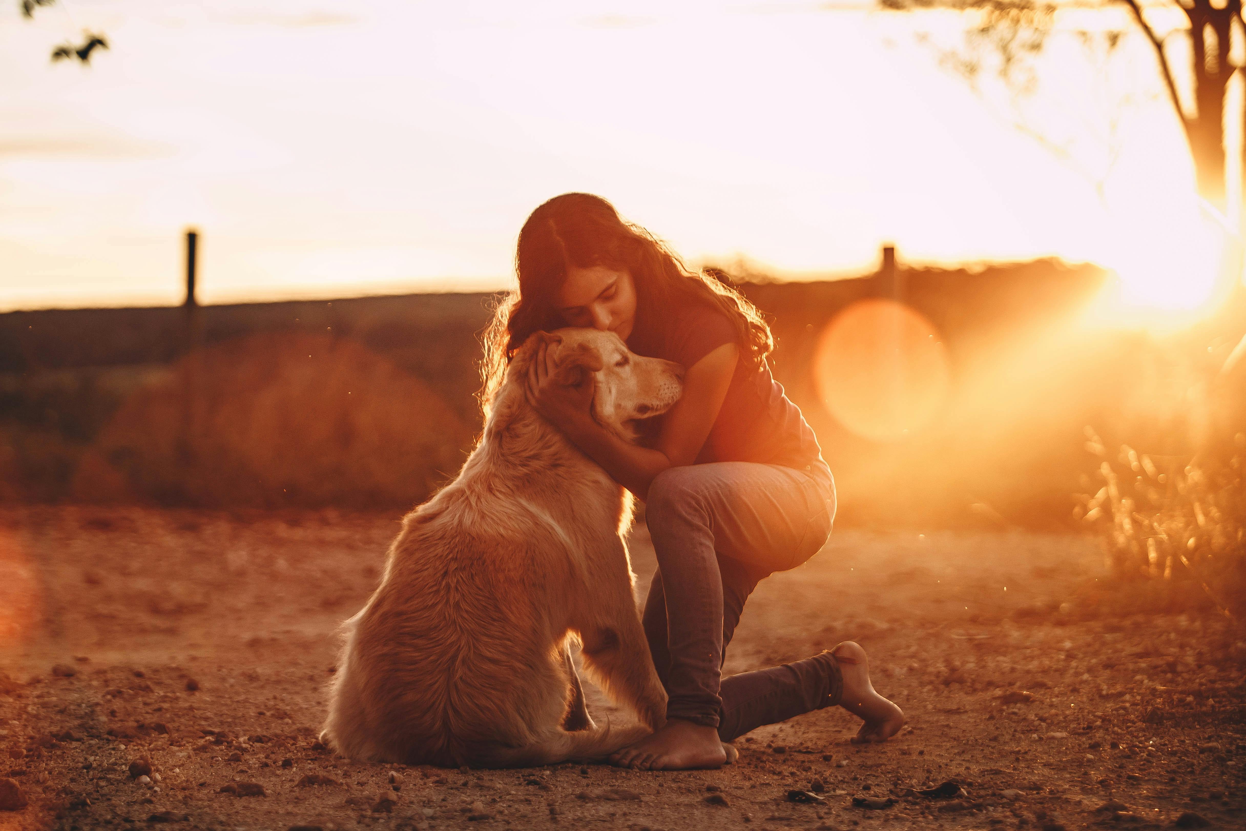 wellness-how-do-i-get-my-rescue-dog-to-bond-hero-image