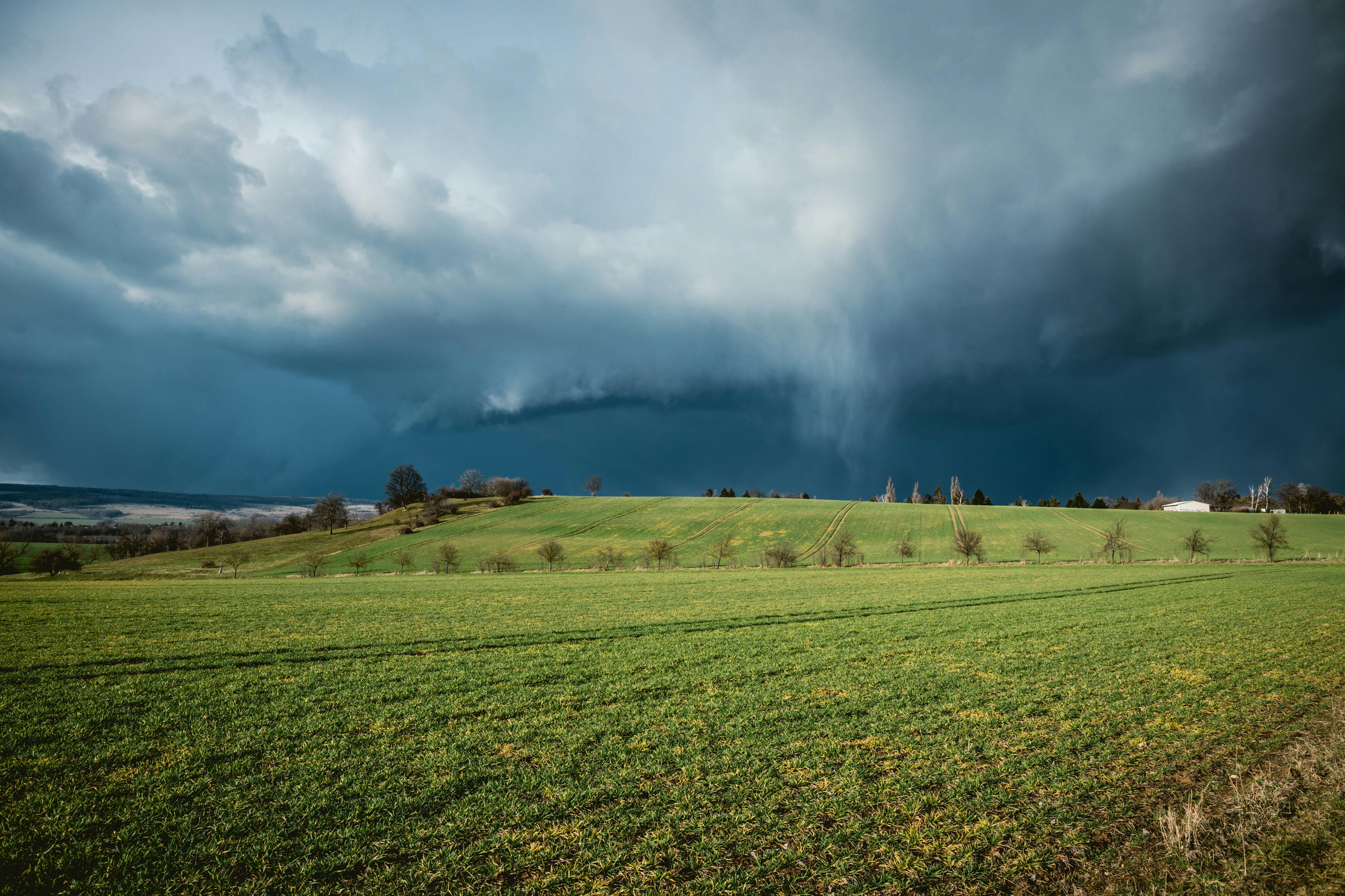 How To Keep Your Pets Safe During A Tornado Or Storm