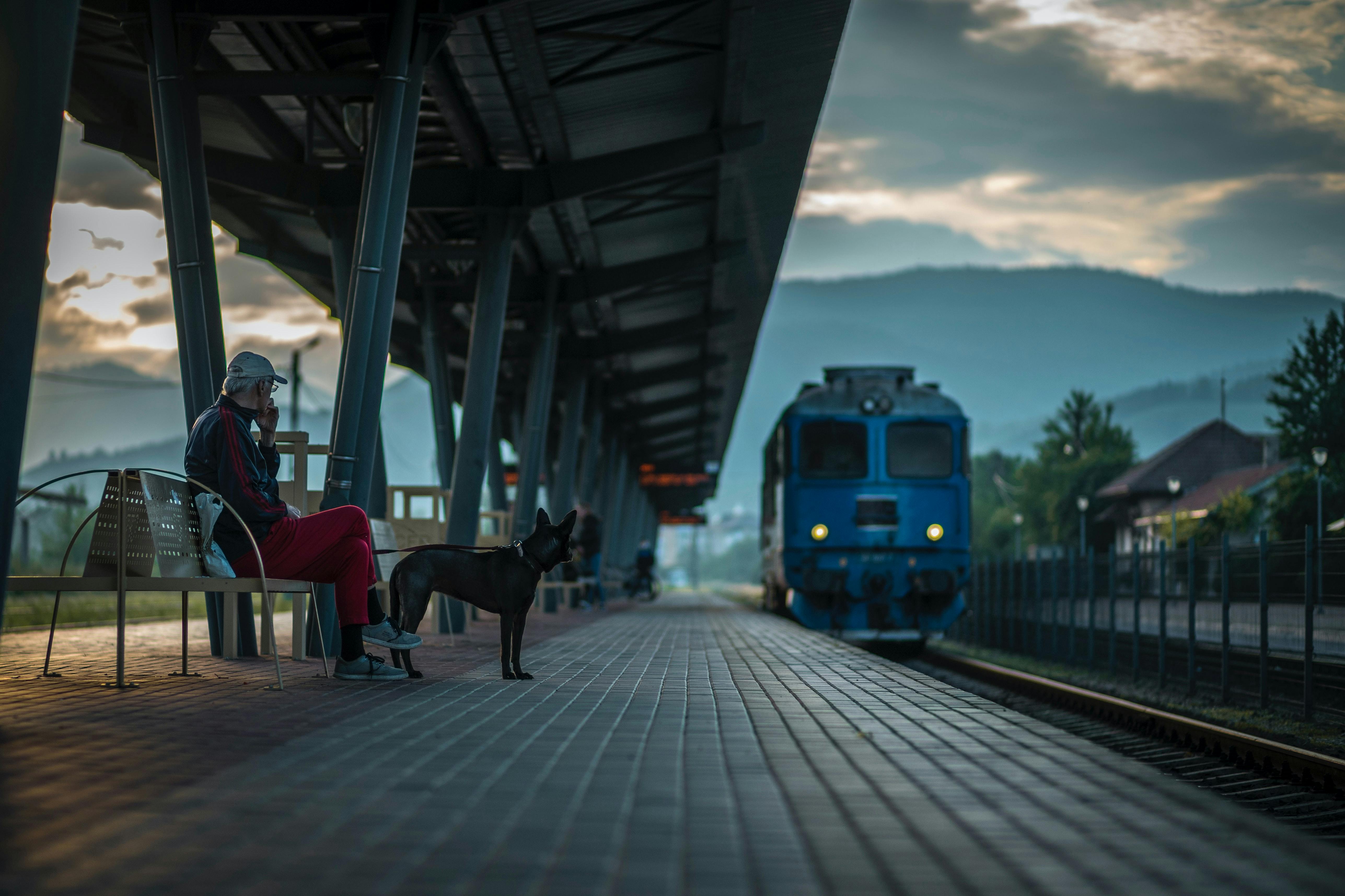 wellness-how-to-travel-with-your-dog-on-the-train-hero-image