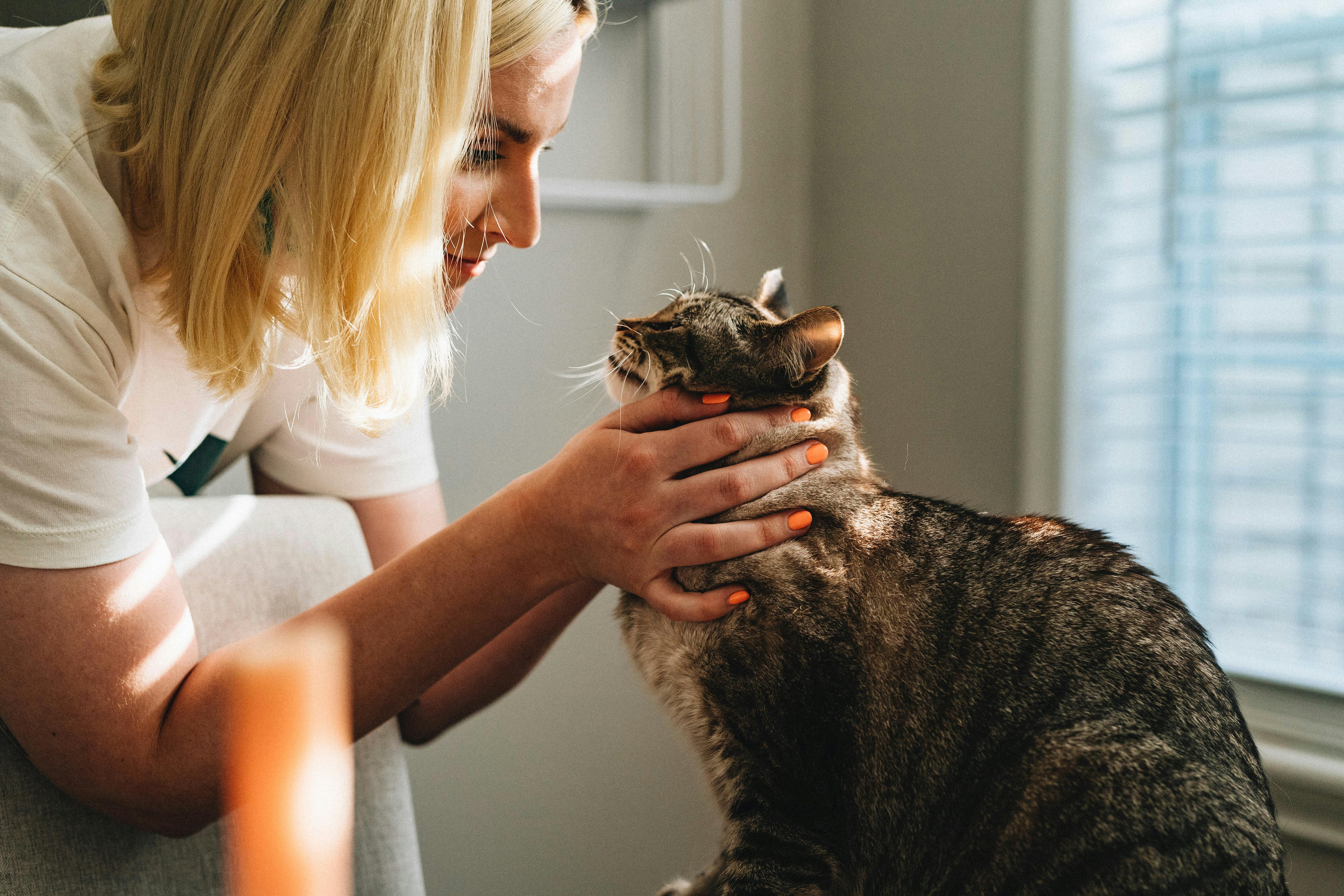 Gps implant outlet for cats