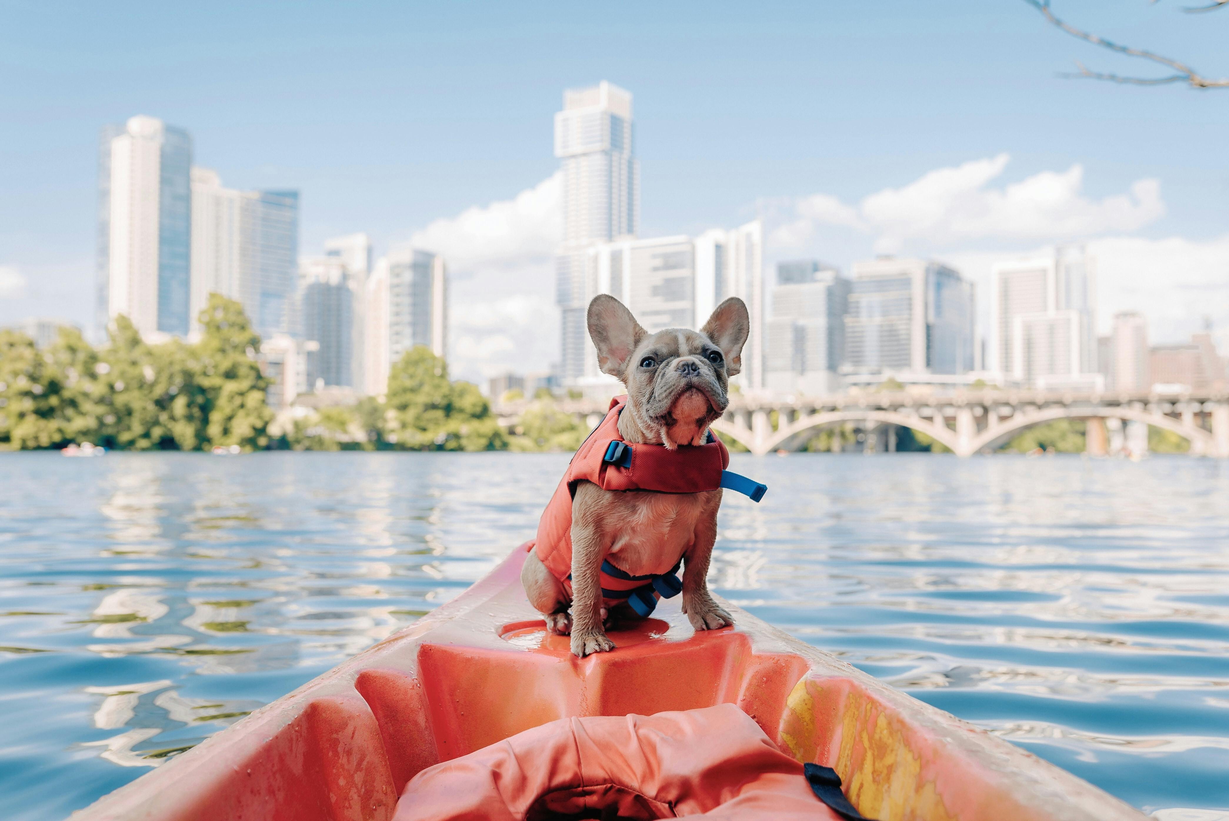 wellness-how-to-kayak-safely-with-your-dog-hero-image