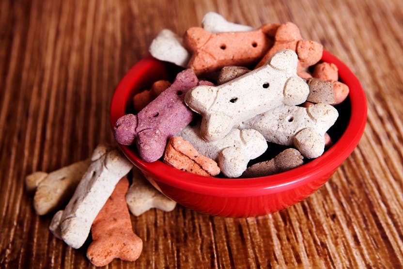 Good Dog By Wellness Training Rewards Soft Treats for Dogs Chicken