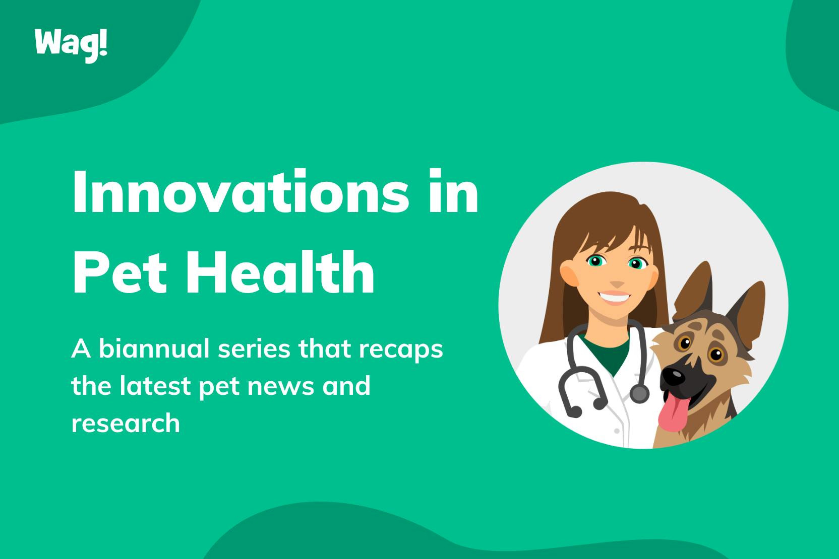 Innovations in Pet Health: Fall 2022 Edition