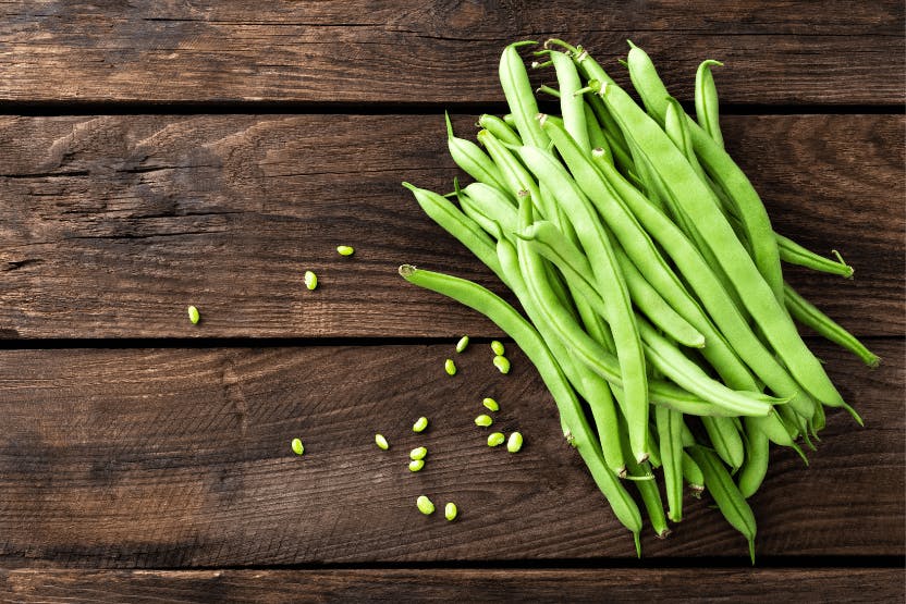 wellness-can-dogs-eat-green-beans-hero-image