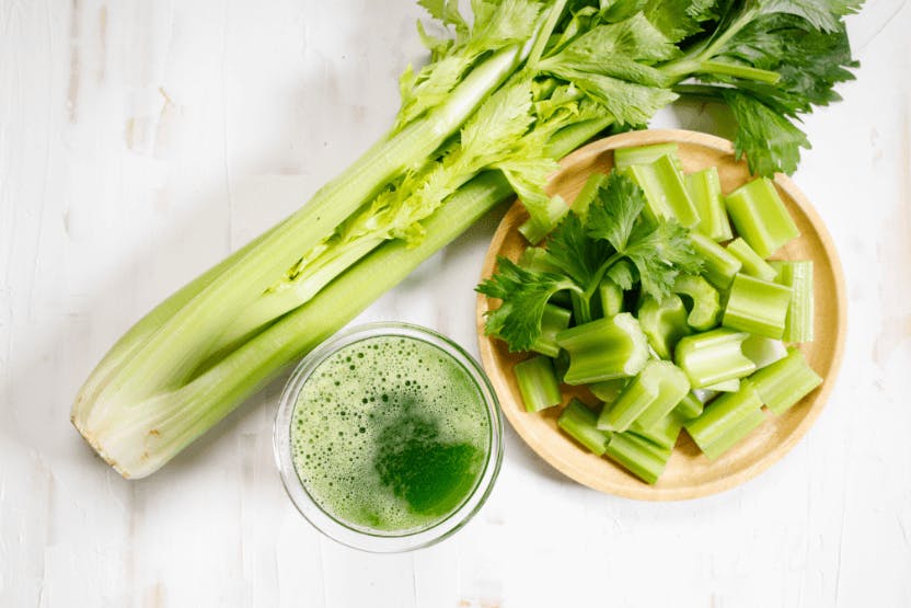 wellness-can-dogs-eat-celery-hero-image