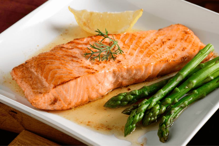 wellness-can-cats-eat-salmon-hero-image