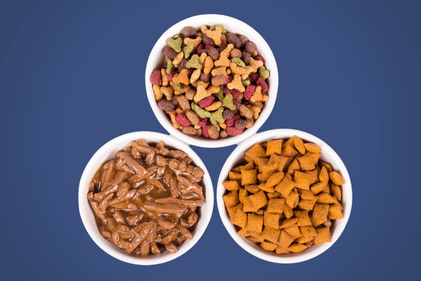 The best outlet dry food