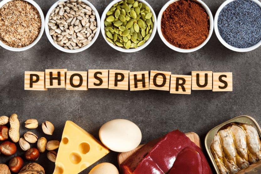 foods high in phosphorus