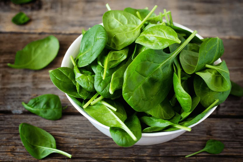 wellness-can-dogs-eat-spinach-hero-image