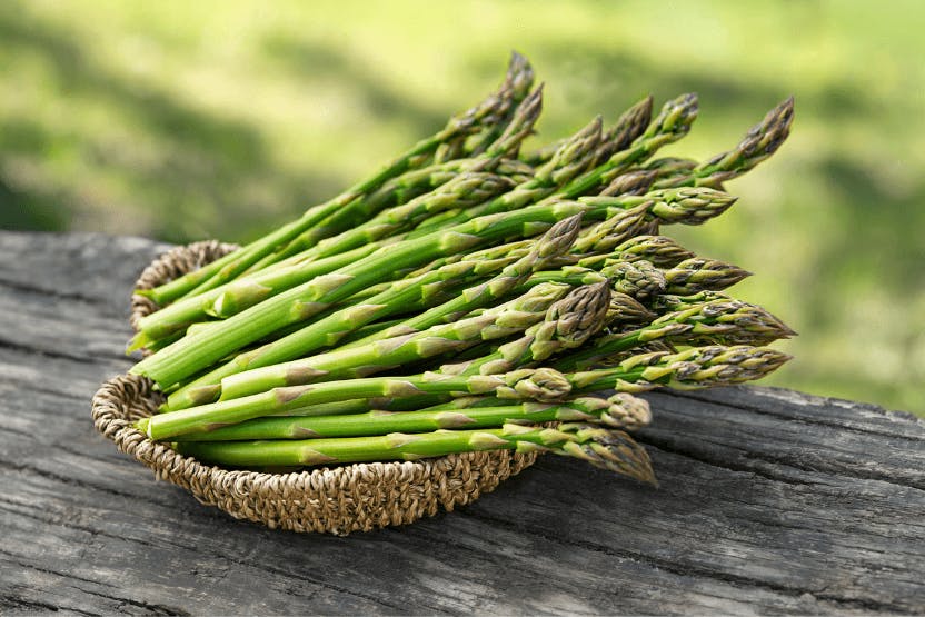 wellness-can-dogs-eat-asparagus-hero-image