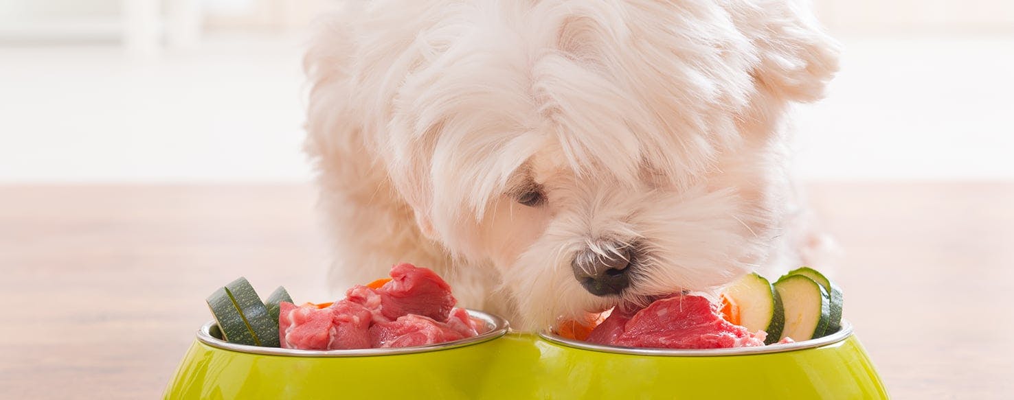 wellness-home-cooked-dog-food-hero-image