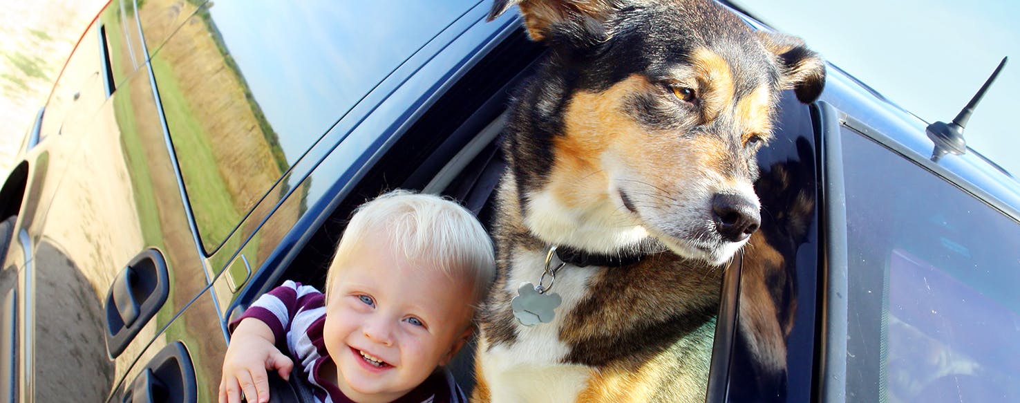 wellness-how-to-keep-kids-safe-around-dogs-and-dogs-safe-around-kids-hero-image
