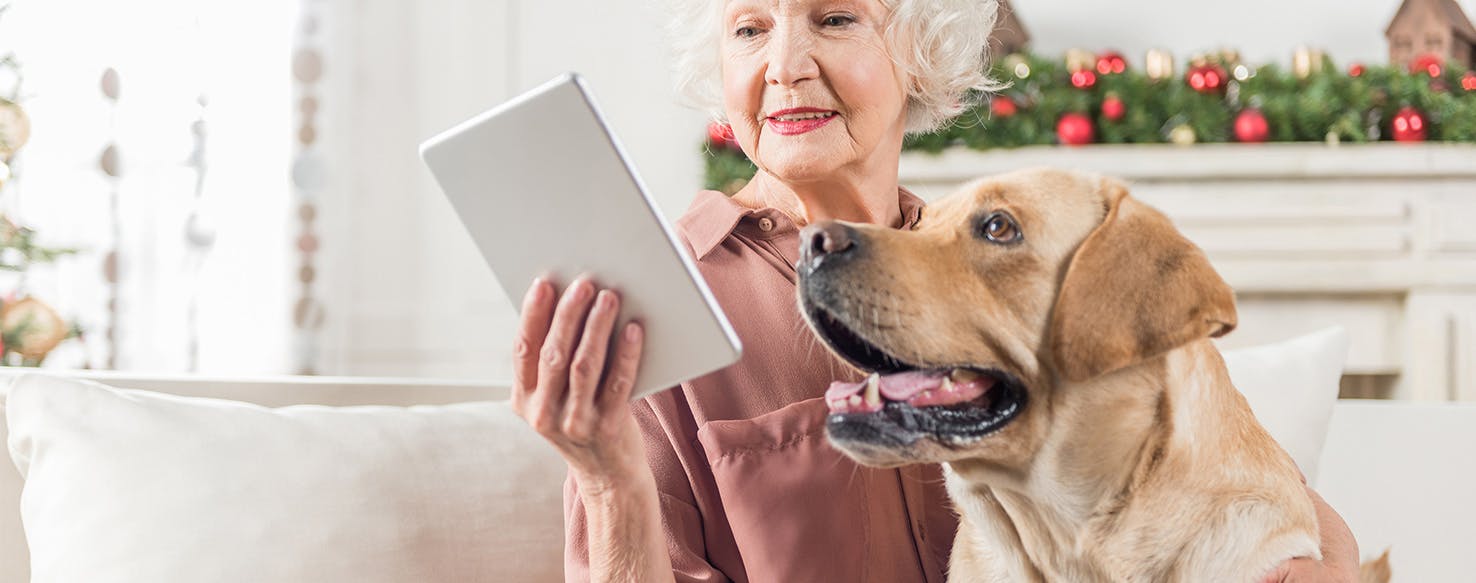 Exercising Senior Dogs