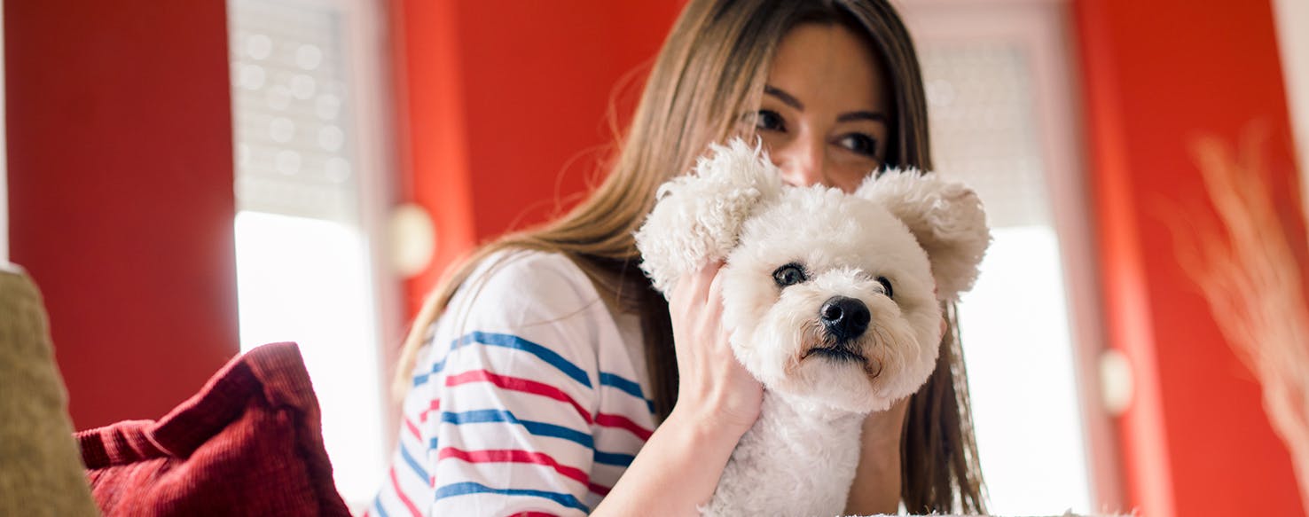 Pick the Perfect Pooch Choosing the Right Dog For You