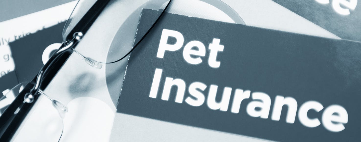 15 Top Photos Pet Care Insurance Company : Best Rated Health Care Pet Insurance Companies (With ...