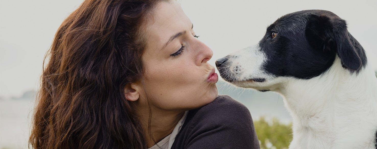 Setting the Record Straight on Whose Mouth is Cleaner: Yours or Your Dog's