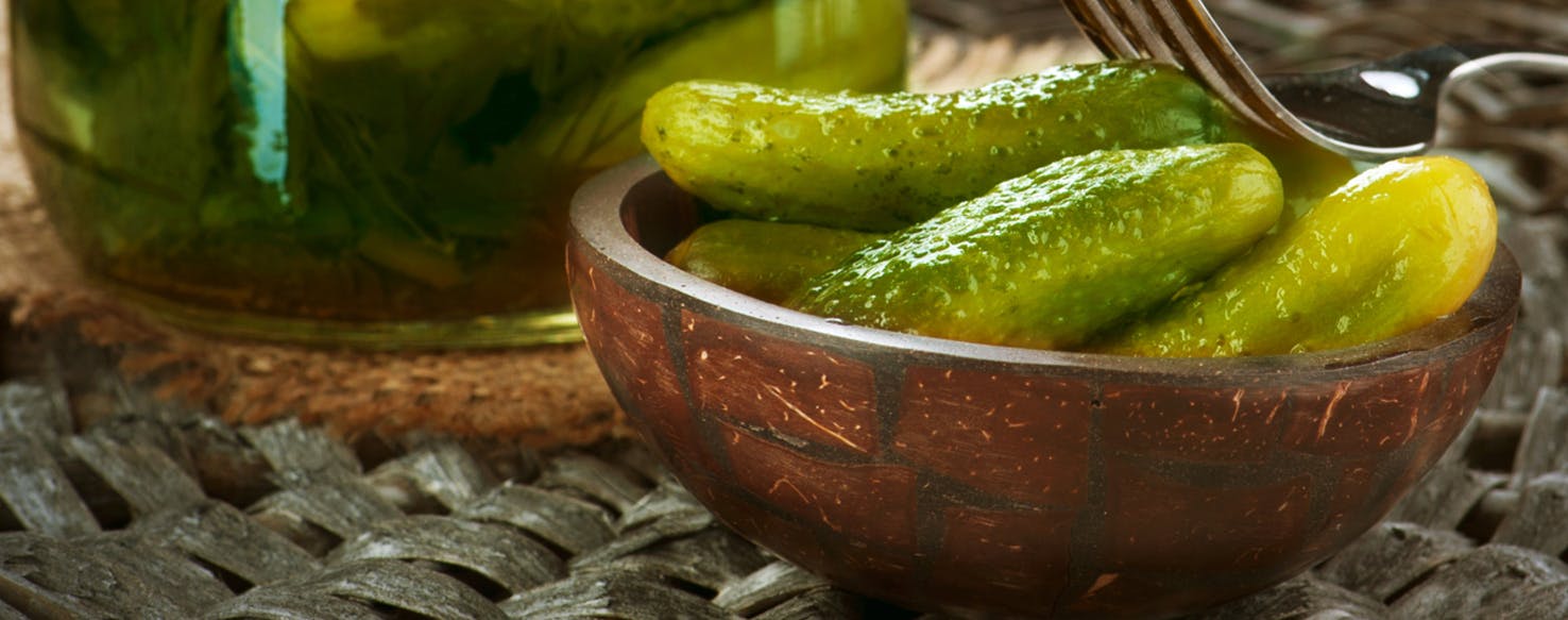 wellness-should-i-let-my-dog-eat-pickles-hero-image