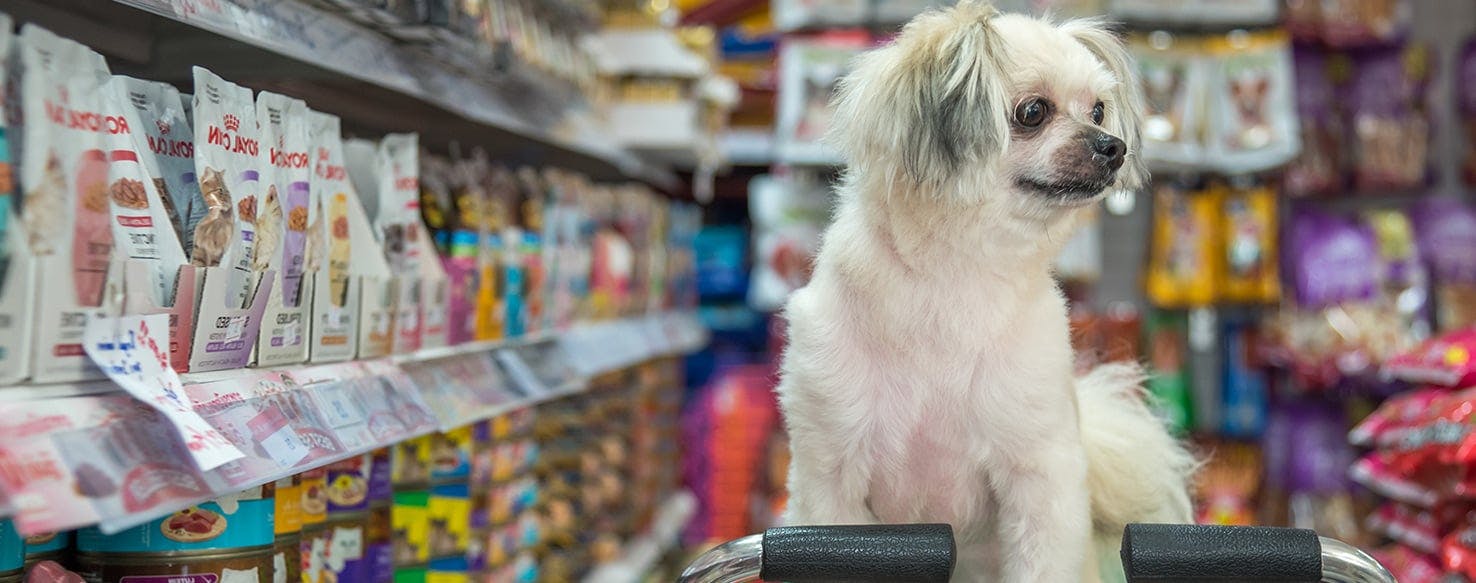 What artificial sweetener clearance is bad for dogs