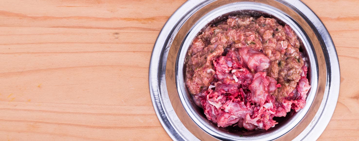 The Good and the Bad of the Canine BARF Diet