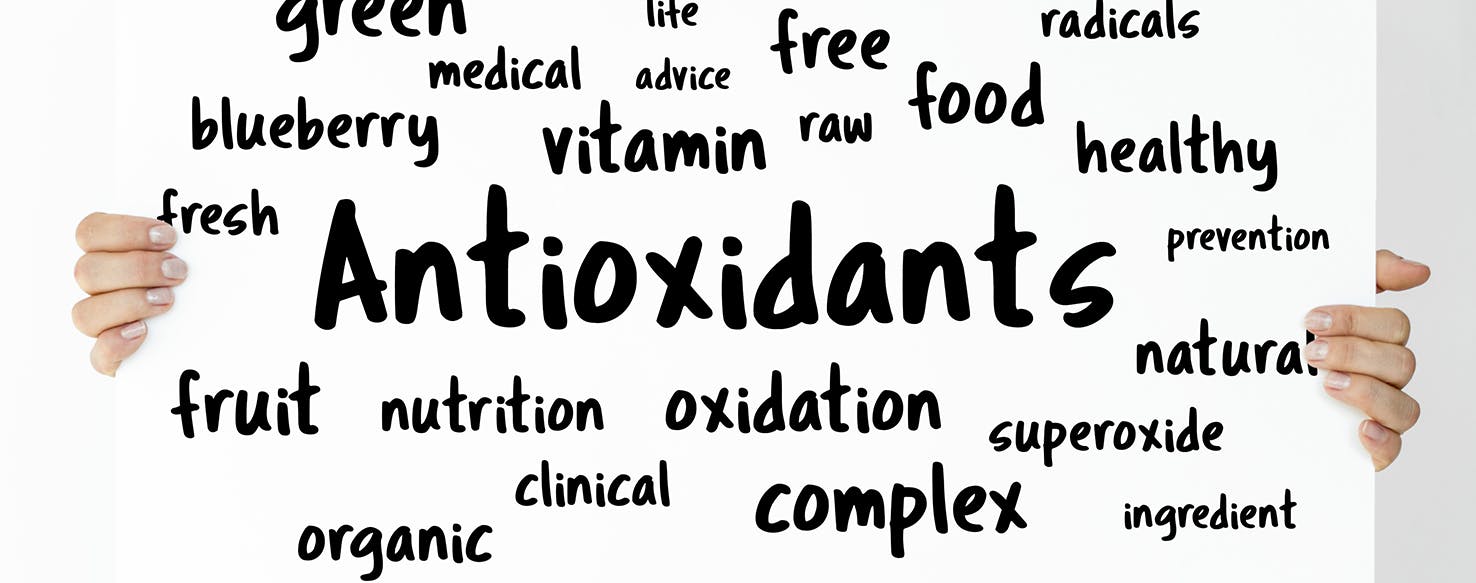 wellness-understanding-antioxidants-and-prooxidants-for-your-dogs-health-hero-image