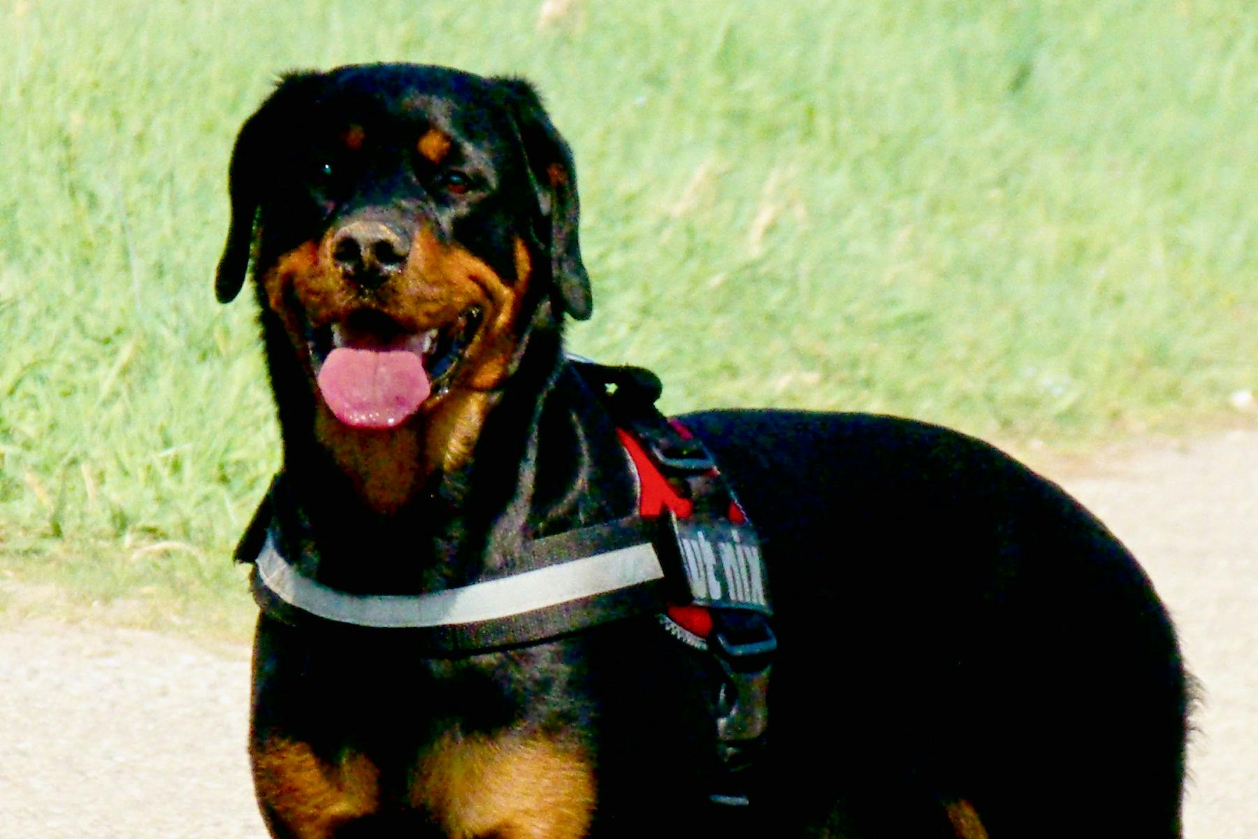 Snowfill Recreation Area