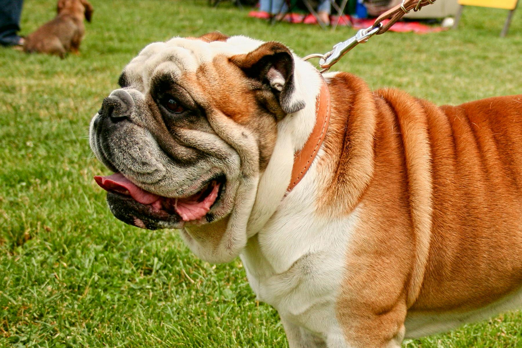 Morton Taylor Trailhead