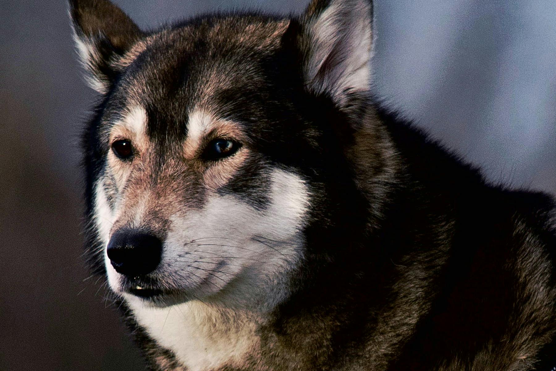 Kaw River State Park