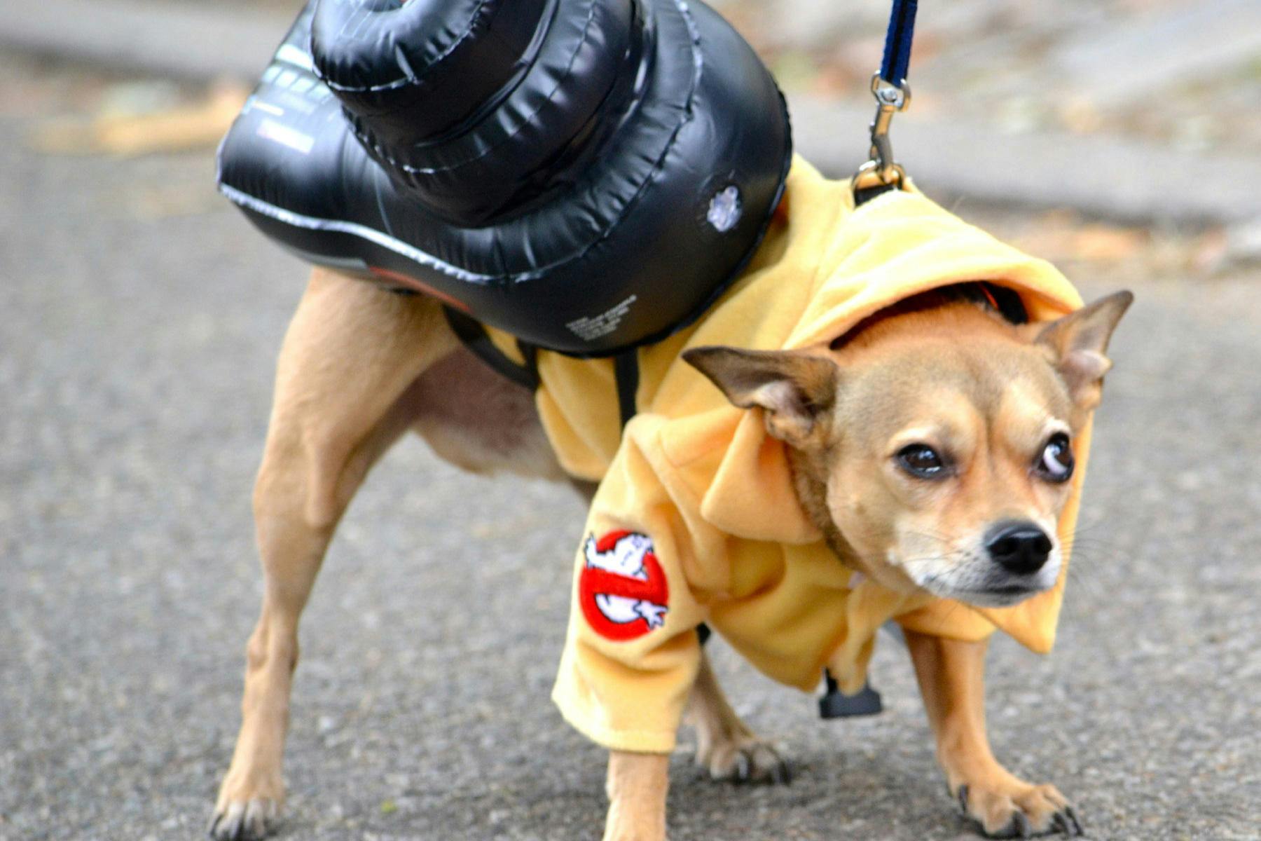 Old Prairie Town at Ward Meade Historic Site