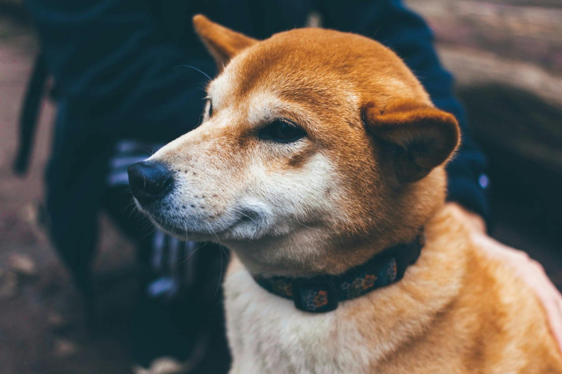 Grindstone Tap House