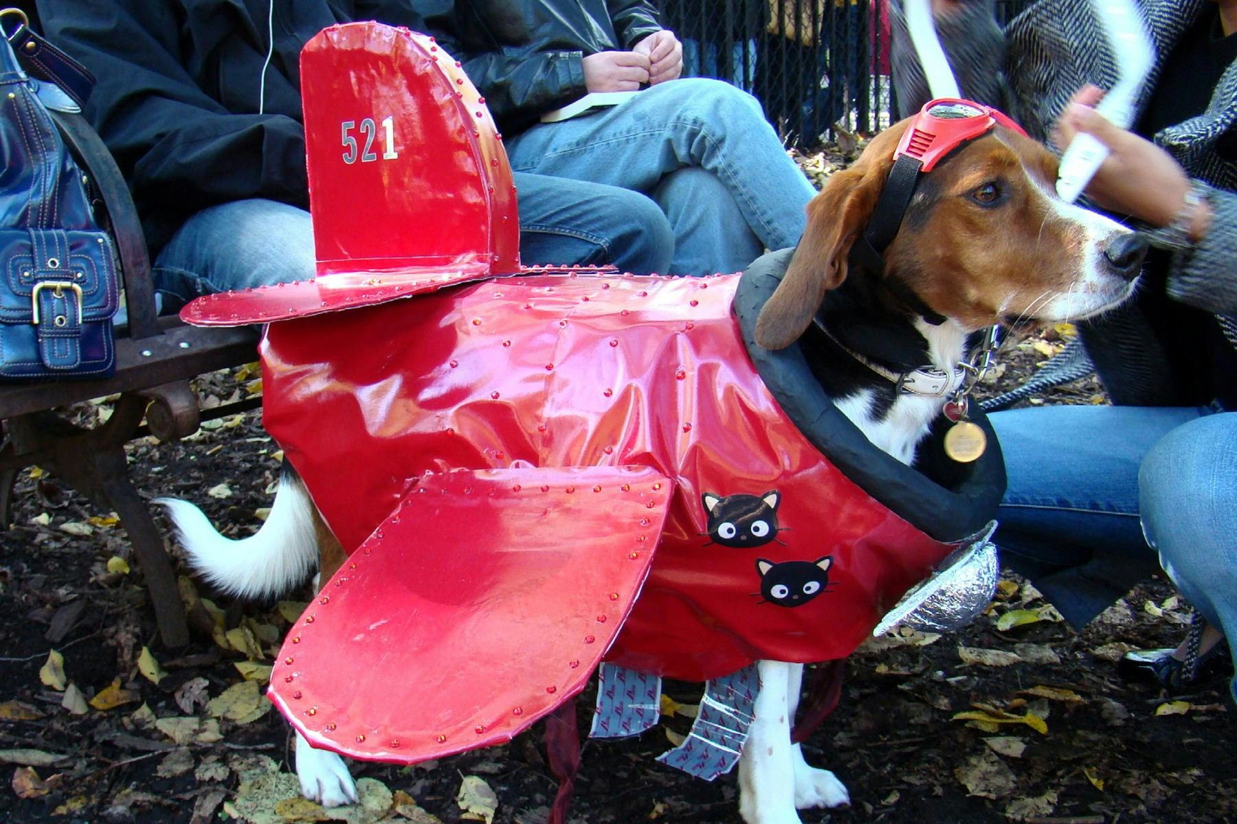 Santa Paws Open House