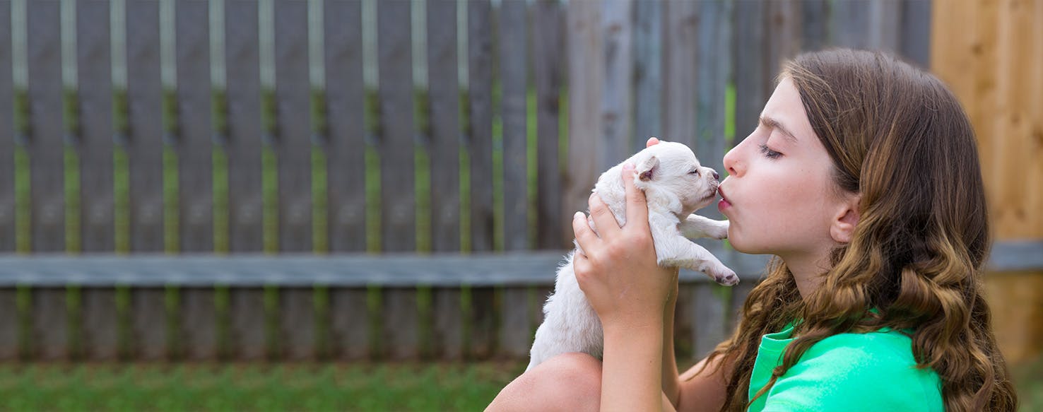 Why Do Dogs Want To Smell Your Breath