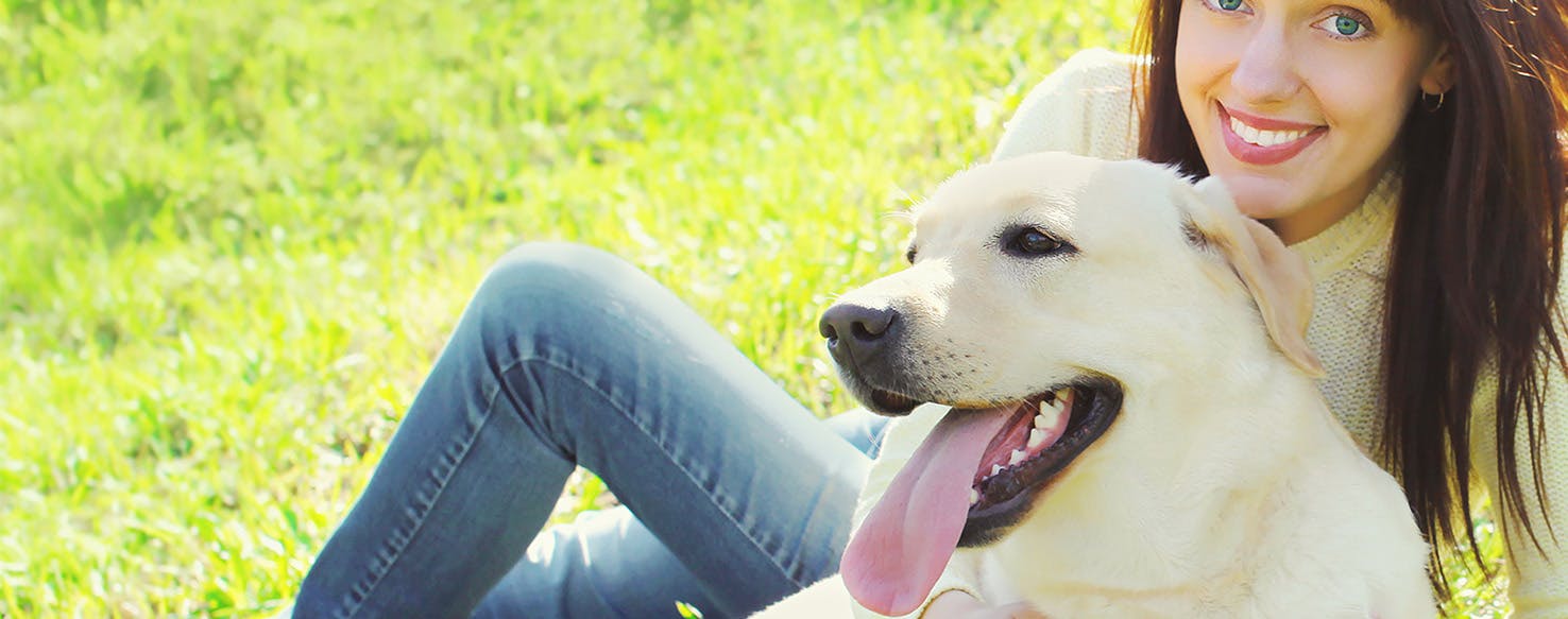 Why Dogs Always Happy To See You