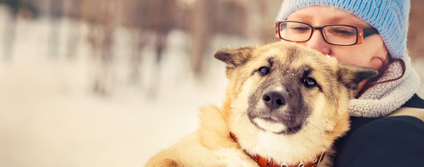 Why Dogs Like Certain Humans