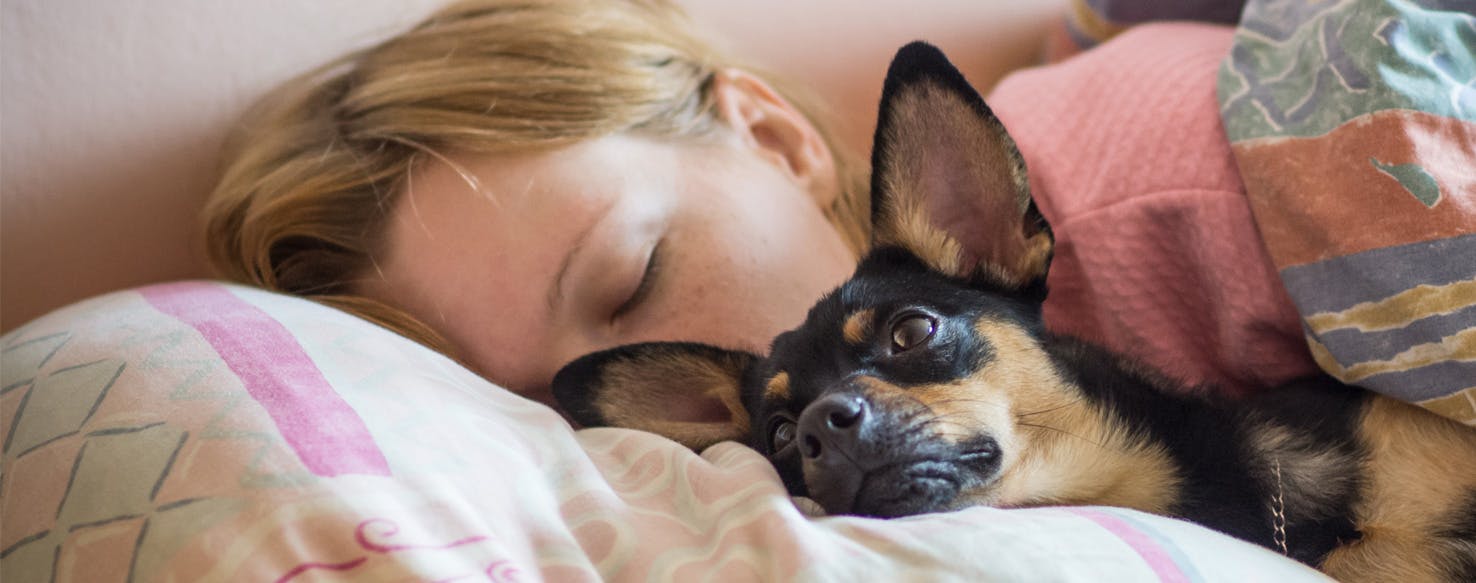 Why Dogs Like Sleeping With Humans