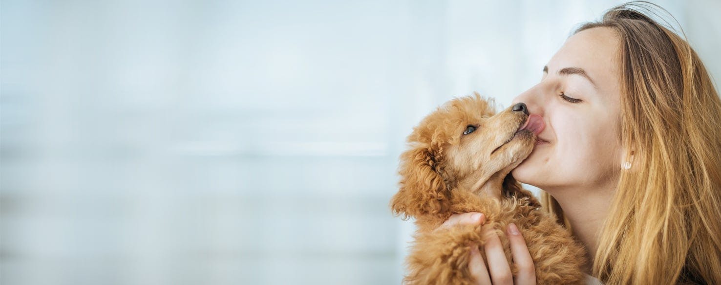 Dogs discount cuddling humans